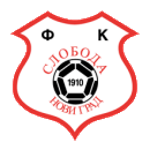 https://img.trelzef.com/img/football/team/b71b7bfab3d42c691e953977143504e5.png